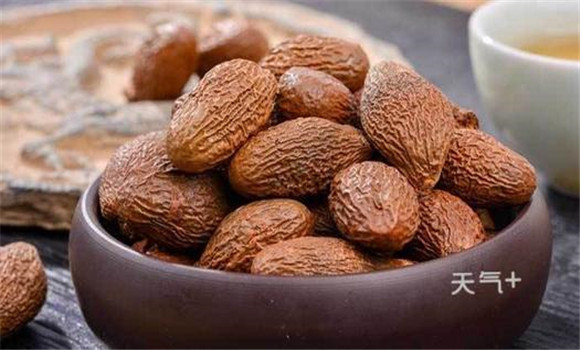 胖大海有降壓利尿、抗菌消炎的功效
