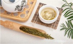 飲茶能治頭痛嗎？關(guān)于飲茶治頭痛的記載