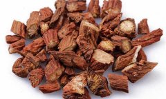 丹參的性能、主治、臨床應(yīng)用及用藥注意事項(xiàng)
