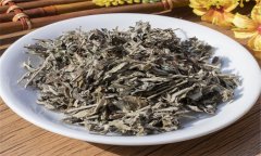 艾葉的性能、主治、臨床應(yīng)用及注意事項(xiàng)
