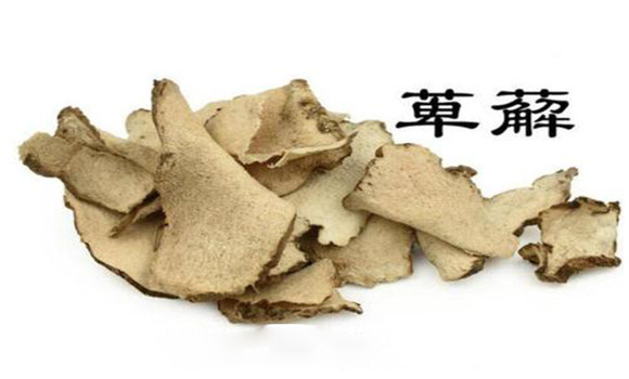萆薢的用法，用量與禁忌