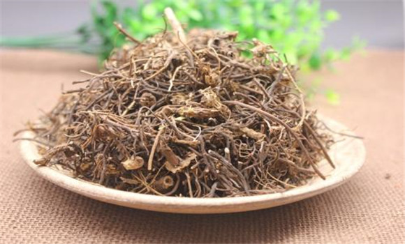 威靈仙的用法、用量與禁忌