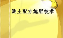 什么是測(cè)土配方施肥，測(cè)土配方施肥的基本要求