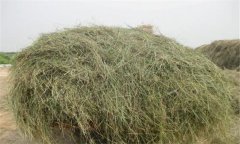 優(yōu)質(zhì)青干草應(yīng)具備哪些條件，如何評定其質(zhì)量