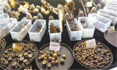 怎樣安全貯存蔬菜種子？蔬菜種子知識(shí)