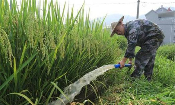 科學(xué)管水、防止早衰