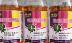 bt殺蟲劑的最佳使用方法，需掌握以下四點