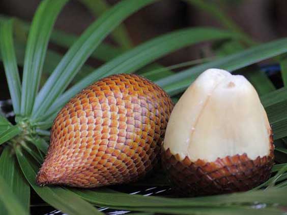 果樹(shù)種植方法