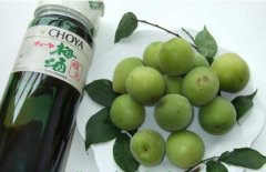 怎樣自制梅子酒？介紹梅子酒的做法