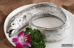 帶魚的產(chǎn)地、分布生活習(xí)性與品種分類