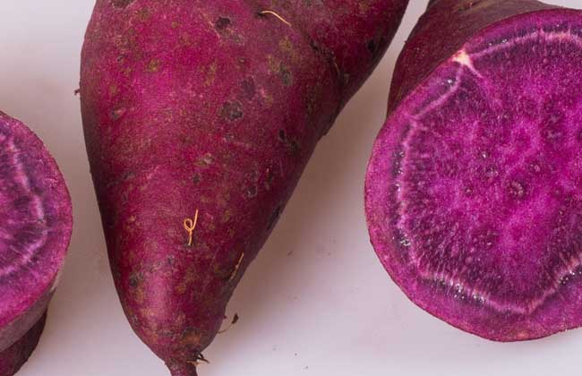 紫薯是轉(zhuǎn)基因食品嗎？
