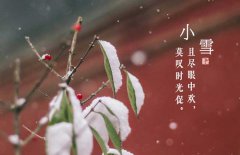 小雪節(jié)氣是什么意思，小雪節(jié)氣吃什么食品？