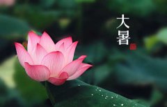 大暑是幾月幾日，大暑的節(jié)日民俗的哪些？
