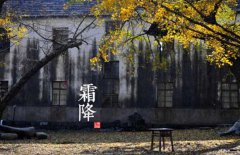 寒露是什么意思，寒露的氣候特征有哪些？