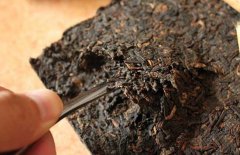 喝普洱茶能減肥嗎？