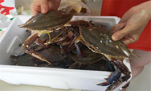 螃蟹屬于海鮮嗎？