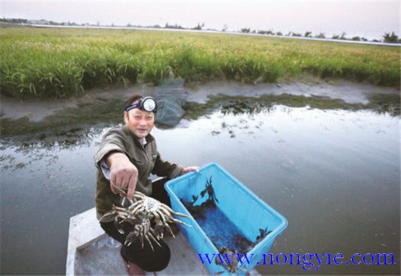 水源充足、水質(zhì)清新無污染
