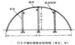 塑料中棚加外覆蓋能明顯使蔬菜早熟，效益高