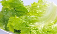 生菜的營養(yǎng)成分，生菜的營養(yǎng)價值及功效有哪些
