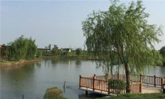 不同魚(yú)種塘的投飼、施肥方法是什么？