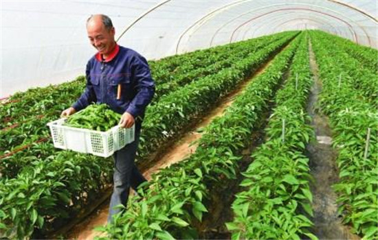 選種要盡量滿(mǎn)足游客消費(fèi)習(xí)慣