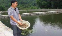 魚塘如何施肥？魚塘施肥技術(shù)的三個要點