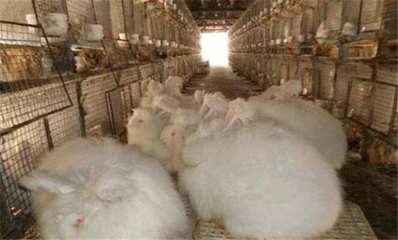 飼料要搭配、交換