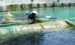 魚赤皮病的治療方法、是什么引起、有什么癥狀