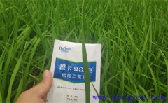 沖施肥哪個品牌好？沖施肥和水溶肥的區(qū)別