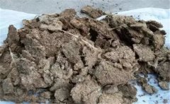 雞糞如何發(fā)酵成有機(jī)肥，用什么發(fā)酵菌好？