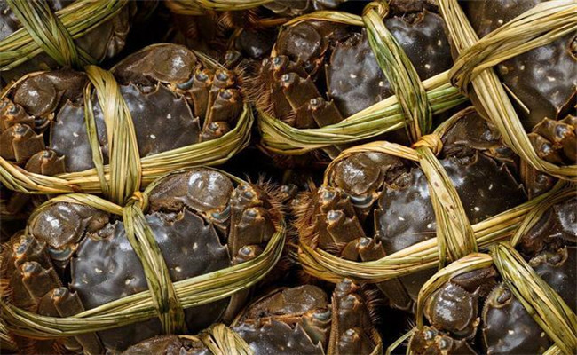 梭子蟹買回來(lái)如何保存