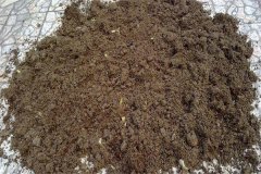 怎樣用多菌靈給土壤消毒，多菌靈可防治哪些病