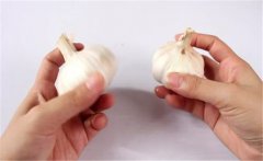 怎樣種植大蒜？大蒜栽培技術(shù)十大要點(diǎn)
