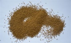 泥鰍的飼料以什么為主？養(yǎng)殖泥鰍的飼料建議配