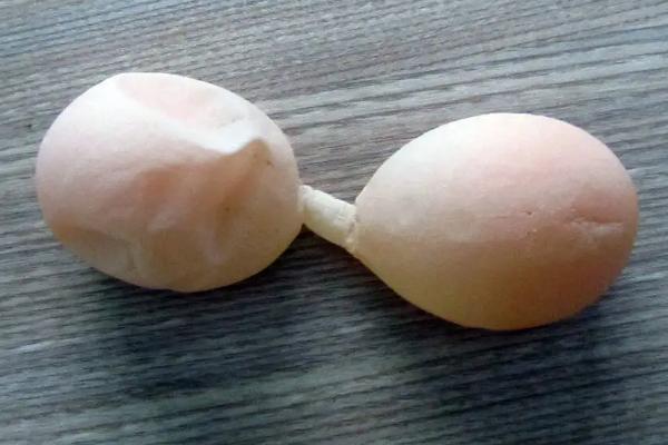 雞下軟蛋怎么辦、如何防治