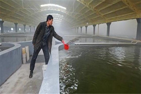 pH值。表示水的酸堿度