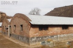 麝鼠圈舍建筑方法與要求有哪些？