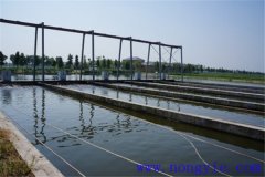 現(xiàn)代池塘養(yǎng)魚(yú)的生產(chǎn)與經(jīng)營(yíng)特點(diǎn)是什么？