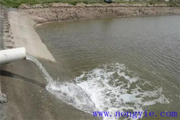 定期沖換水，保讓魚塘水質(zhì)