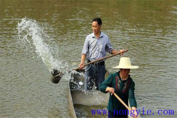 加強(qiáng)病害防治、講究安全用藥