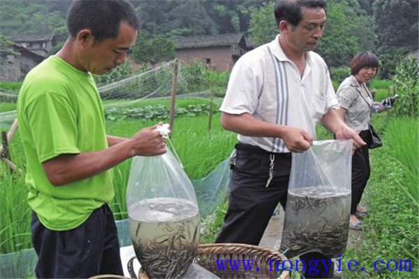 農(nóng)民觀(guān)念束縛因素