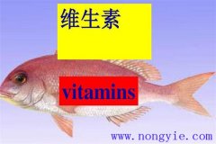 水溶性維生素對(duì)魚(yú)類有何作用