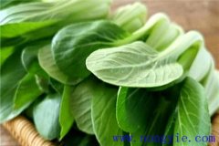 上海青是什么菜？上海青種植時間和方法
