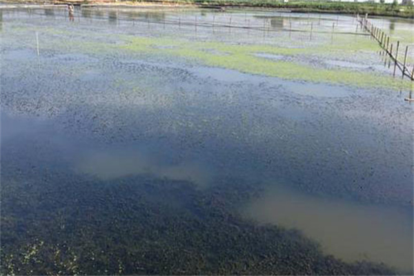 增加溶氧，促進(jìn)有機(jī)物氧化分解