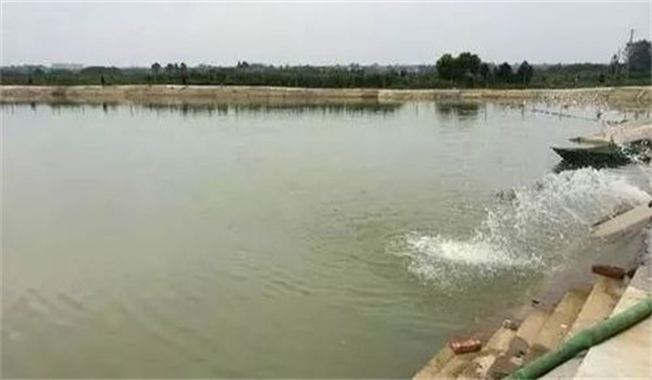 水溫高時如何科學防魚病發(fā)生