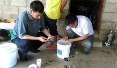魚病治療中的發(fā)現(xiàn)、送診、用藥問題
