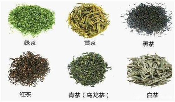 我國(guó)基本茶類(lèi)分為哪幾大類(lèi)