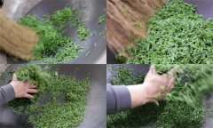 毛尖茶手工制作的具體步驟和方法是什么？