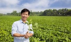 新型農(nóng)民是指什么農(nóng)民，其具備哪三個(gè)特征