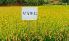 什么是配方施肥技術(shù)，配方施肥應(yīng)遵循哪些原理